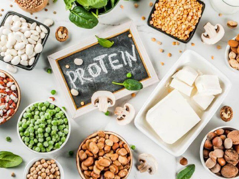 protein thực vật