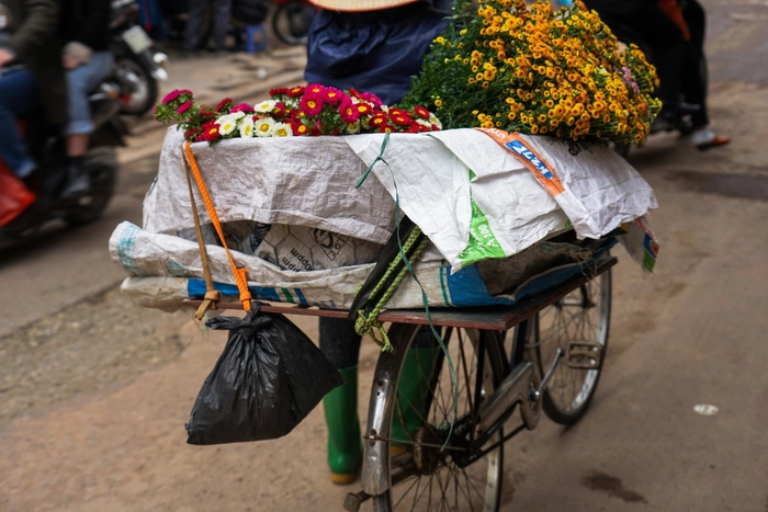 Một phụ nữ bán hoa cúc trên đường phố Hà Nội - Ảnh: Chris Schalkx