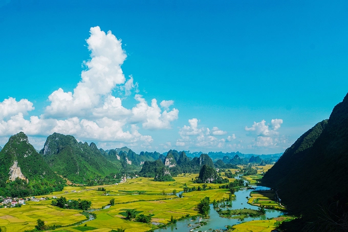 Mùa vàng xã Ngọc Côn, huyện Trùng Khánh. Ảnh: Xuân Trường. Mùa vàng xã Ngọc Côn, huyện Trùng Khánh. Ảnh: Xuân Trường.