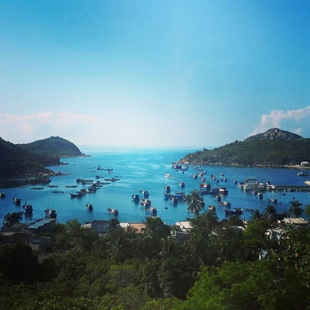 net-tho-mong-cua-vung-dat-nang-gio-ninh-thuan-ivivu-2