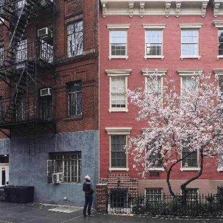 Những người có nhà ở New York có thể yêu cầu trồng cây bên ngoài nhà của họ mà không mất phí.