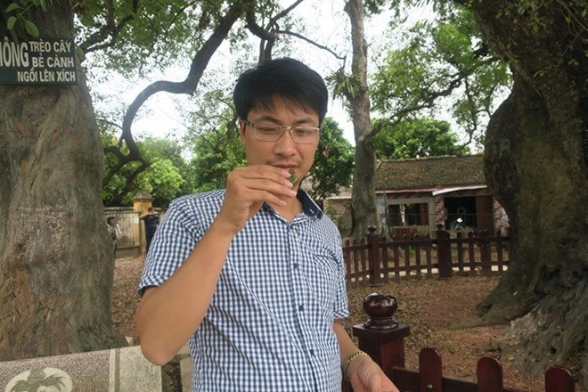 Mùi thơm từ lá của cây Dã Hương xua đuổi được những loài côn trùng có hại Mùi thơm từ lá của cây Dã Hương xua đuổi được những loài côn trùng có hại