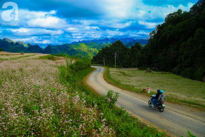 ngam-ha-giang-dep-me-hon-khi-tam-giac-mach-no-ro-nhuom-hong-mien-da-ivivu-14