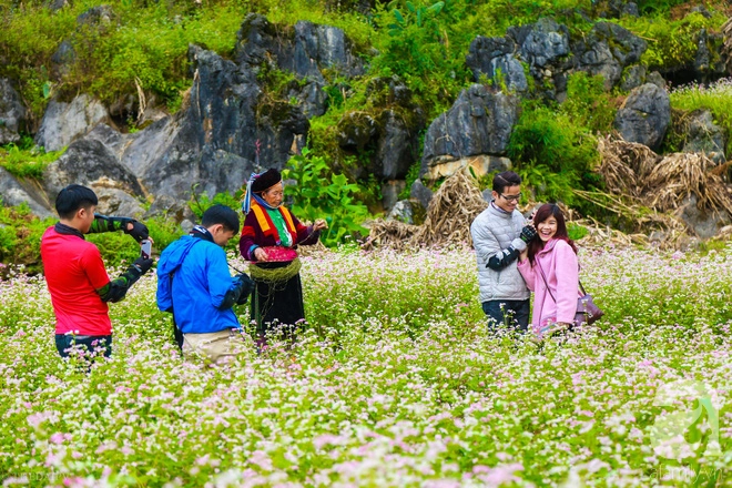 ngam-ha-giang-dep-me-hon-khi-tam-giac-mach-no-ro-nhuom-hong-mien-da-ivivu-16