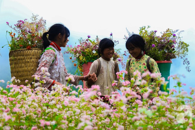Những đứa trẻ vùng cao nguyên say mê trong mùa hoa mới. Những đứa trẻ vùng cao nguyên say mê trong mùa hoa mới.