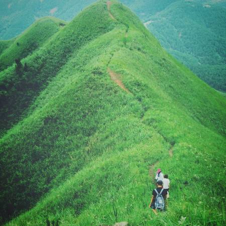 Sống lưng khủng long mùa cỏ xanh. Ảnh: Huyennguyen/Instagram