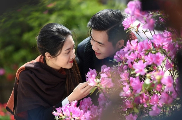 Với nhiều du khách Việt, hoa đỗ quyên không xa lạ nhưng hiếm nơi nào lại có nhiều đỗ quyên rừng đẹp như tại Fansipan. Minh Trung - một du khách trẻ đến từ Nam Định cho biết anh không nghĩ đỗ quyên rừng lại nhiều như vậy ở Fansipan.