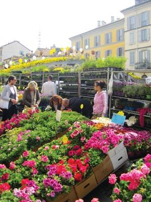 Milan những ngày trước lễ hội hoa