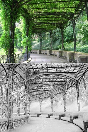 Pergola, Conservatory Garden, Central Park, New York, Mỹ