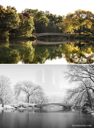 Central Park, New York, Mỹ