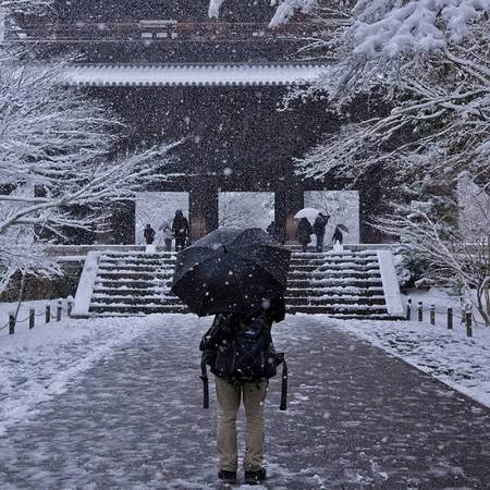 Tận hưởng khung cảnh đẹp tuyệt hiếm có trong năm ở Kyoto