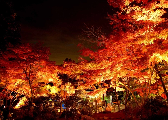 Núi Tsukuba ở phía nam Ibaraki còn được gọi là ngọn núi tím vì nhìn từ xa, bạn có cơ hội chiêm ngưỡng sự đổi màu giữa ngày và đêm của đỉnh núi. Du khách có thể đi cáp treo lên trên đỉnh ở độ cao 877 m, ngắm toàn cảnh xung quanh. Suốt tháng 11, khu vực này thắp đèn sáng trưng, phục vụ du khách muốn ngắm cảnh đêm. Núi Tsukuba ở phía nam Ibaraki còn được gọi là ngọn núi tím vì nhìn từ xa, bạn có cơ hội chiêm ngưỡng sự đổi màu giữa ngày và đêm của đỉnh núi. Du khách có thể đi cáp treo lên trên đỉnh ở độ cao 877 m, ngắm toàn cảnh xung quanh. Suốt tháng 11, khu vực này thắp đèn sáng trưng, phục vụ du khách muốn ngắm cảnh đêm.