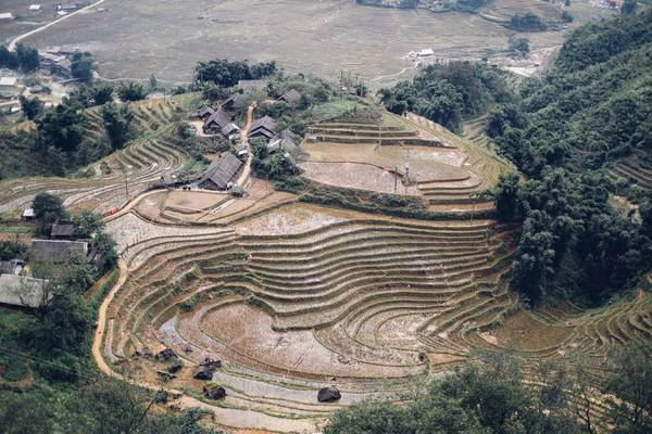 Ruộng bậc thang ở thung lũng Mường Hoa trên đường xuống bản Tả Van - cách trung tâm thị trấn Sa Pa khoảng 8 km. Ruộng bậc thang ở thung lũng Mường Hoa trên đường xuống bản Tả Van - cách trung tâm thị trấn Sa Pa khoảng 8 km.