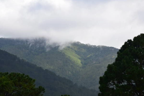 Cảnh đẹp