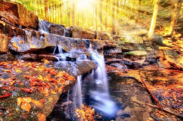 Oakland, Maryland Một chuyến dã ngoại ngắm lá vàng đến Maryland sẽ không trọn vẹn nếu bạn bỏ qua công viên Swallow Land, nơi những tầng lá soi mình trên dòng sông Youghiogheny, tạo nên lớp gương phản chiếu lấp lánh cho cánh rừng.