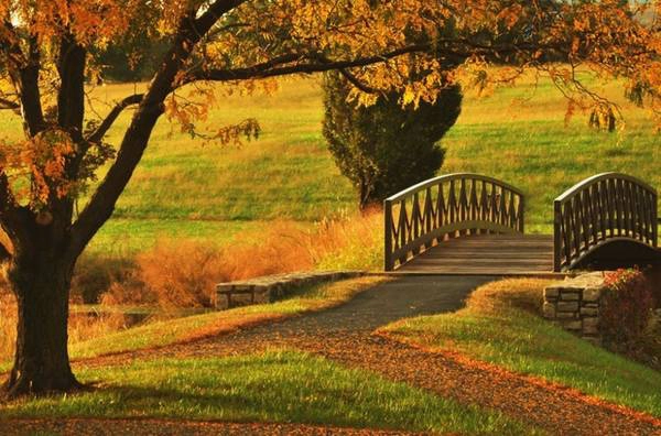 Parkville, Missouri Nằm nép mình bên thành phố Kansas, thị trấn Parkville nổi tiếng vì khung cảnh cổ kính, mang dấu ấn xa xưa. Nhờ đó, nơi đây là sự lựa chọn cho du khách muốn cảm nhận vẻ đẹp mùa thu nước Mỹ những năm cuối thế kỉ 19.