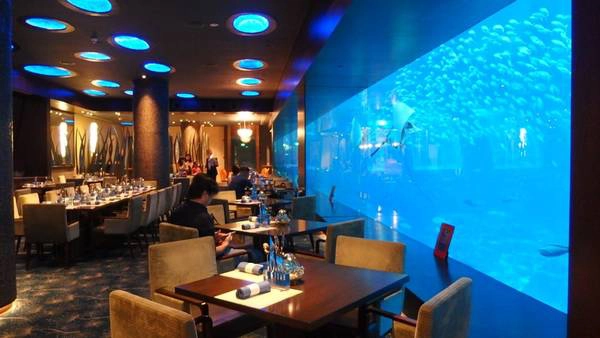 Nhà hàng Đại Dương tại S.E.A Aquarium mở cửa hàng ngày, phục vụ bữa trưa từ 11h30 - 14h30 và bữa tối từ 18h - 22h30. Nhà hàng Đại Dương tại S.E.A Aquarium mở cửa hàng ngày, phục vụ bữa trưa từ 11h30 - 14h30 và bữa tối từ 18h - 22h30.