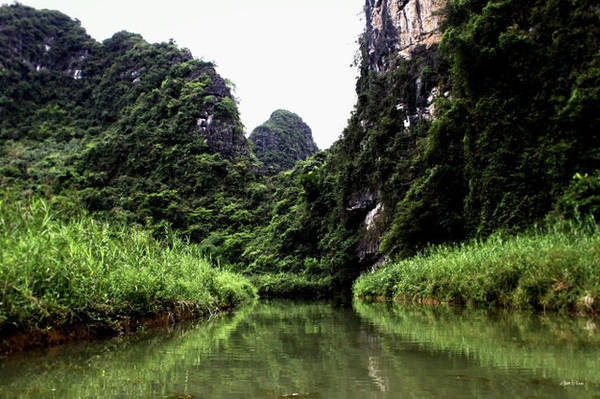 Đường vào. Ảnh Trần Thùy Linh