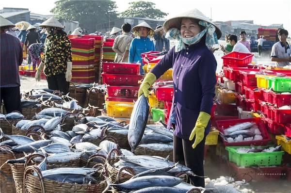 Nghề đánh bắt và phân phối hải sản đã tạo công ăn việc làm cho đa số cư dân ở Long Hải. (Ảnh: Nguyễn Vũ Phước) Nghề đánh bắt và phân phối hải sản đã tạo công ăn việc làm cho đa số cư dân ở Long Hải. (Ảnh: Nguyễn Vũ Phước)