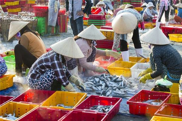 Những người phụ nữ làm công việc phân loại hải sản. (Ảnh: Nguyễn Vũ Phước) Những người phụ nữ làm công việc phân loại hải sản. (Ảnh: Nguyễn Vũ Phước)