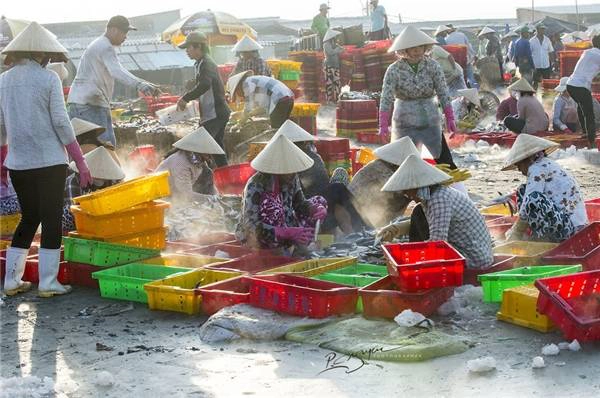Mọi khâu đều được chuyên nghiệp hóa nên rất nhanh chóng và thuận lợi, đảm bảo nguồn hải sản tươi sống nhất đến với các điểm phân phối trước lúc mặt trời mọc. (Ảnh: Nguyễn Vũ Phước) Mọi khâu đều được chuyên nghiệp hóa nên rất nhanh chóng và thuận lợi, đảm bảo nguồn hải sản tươi sống nhất đến với các điểm phân phối trước lúc mặt trời mọc. (Ảnh: Nguyễn Vũ Phước)