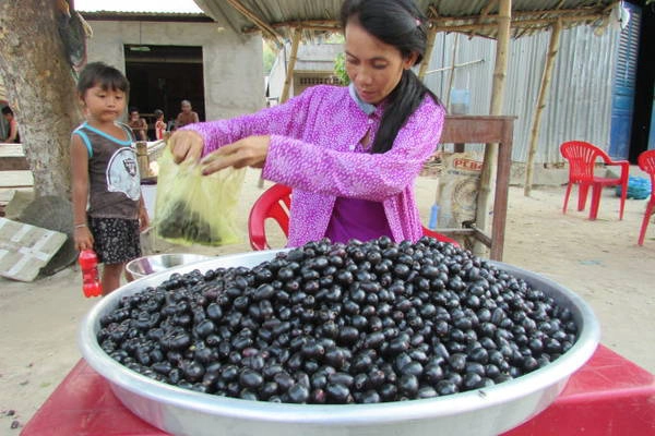 Người phụ nữ Khmer bán trâm chín bên đường ở núi Tô - Ảnh: N.T.Đăng