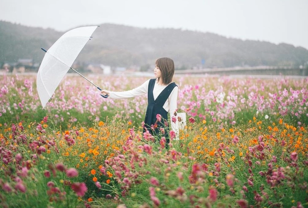 Trong đó, công viên đồi Thái Dương ở Hokkaido là một trong những địa điểm trồng hoa cosmos lớn nhất ở Nhật Bản. Trên cánh đồng lớn hơn 100.000 m2, 10 triệu bông hoa với đủ sắc hồng, trắng, cam, vàng nở rộ từ giữa tháng 8 đến cuối tháng 9. Ảnh: Chokoriism, diary_1226.