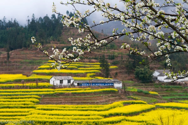 ngat-ngay-voi-thien-duong-hoa-cai-la-binh-ivivu2