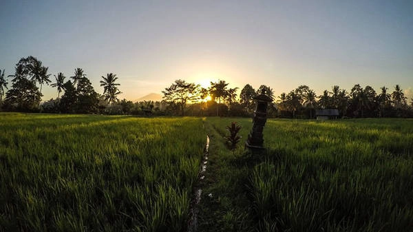 ngay-gan-viet-nam-co-5-bai-bien-thien-duong-dep-nhuong-nay-khong-di-thi-tiec-lam-ivivu-25