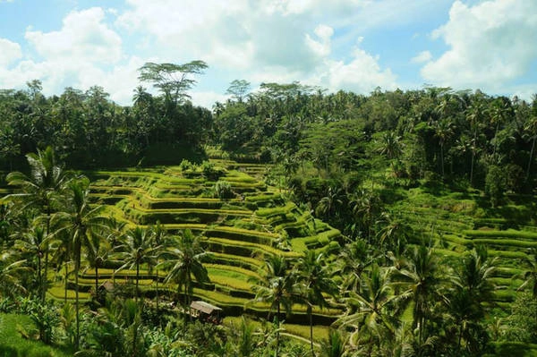ngay-gan-viet-nam-co-5-bai-bien-thien-duong-dep-nhuong-nay-khong-di-thi-tiec-lam-ivivu-43
