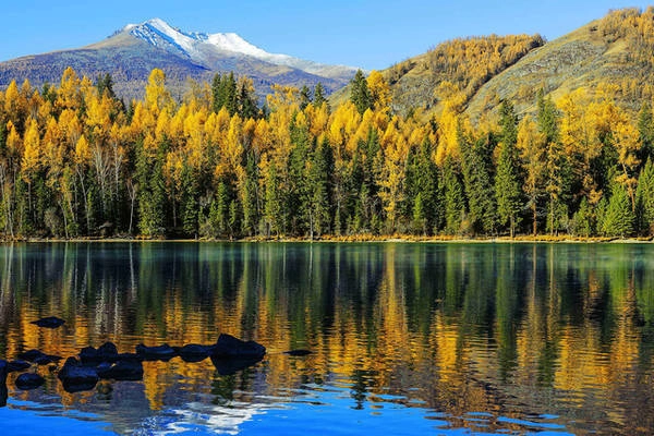 Ngay cả khi không phải trong mùa thu, hồ Kanas ở Tân Cương vẫn được xếp hạng 5 sao trong số các địa điểm cảnh đẹp của Trung Quốc. Ảnh: Dreamstime Vào mùa thu, rừng cây bạch dương trải một màu vàng mơ dọc từ dãy núi Altai đến bờ hồ Kanas. Phía xa, ở vùng ranh giới với Kazakhstan, Mông Cổ, và Nga là các ngọn núi phủ tuyết trắng.