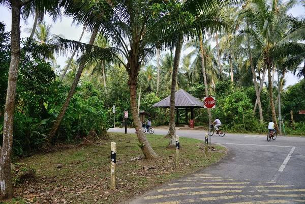 đảo Pulau Ubin