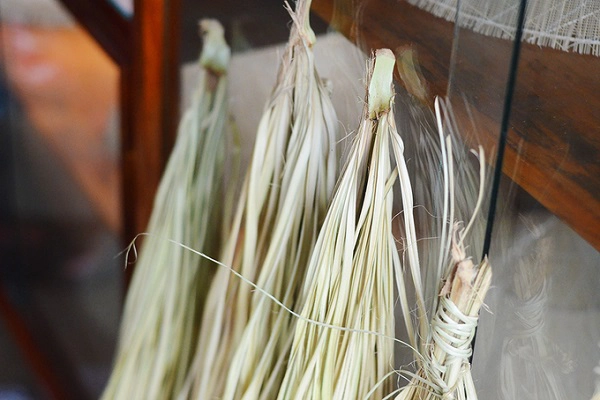 Một chiếc nón ngựa để thành hình cần có 3 loại nguyên liệu chính gồm: cây giang để làm sườn, lá cọ (kè) dùng làm lá lợp nón và rễ dứa (thơm) để lấy chỉ. Được thiên nhiên ưu đãi nên cả các nguyên liệu này đều có sẵn ở Bình Định. Một chiếc nón ngựa để thành hình cần có 3 loại nguyên liệu chính gồm: cây giang để làm sườn, lá cọ (kè) dùng làm lá lợp nón và rễ dứa (thơm) để lấy chỉ. Được thiên nhiên ưu đãi nên cả các nguyên liệu này đều có sẵn ở Bình Định.
