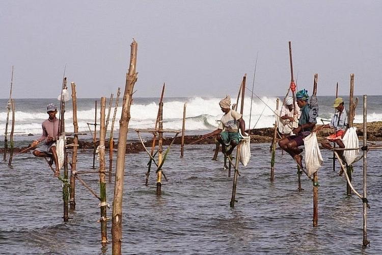 nghe-thuat-cau-ca-tren-coc-kheo-cua-cac-ngu-dan-sri-lanka-ivivu-8