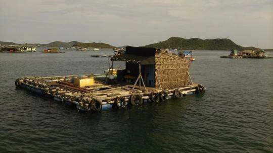 Nam-Du--Ha-Long-giua-bien-phuong-nam-ivivu-3