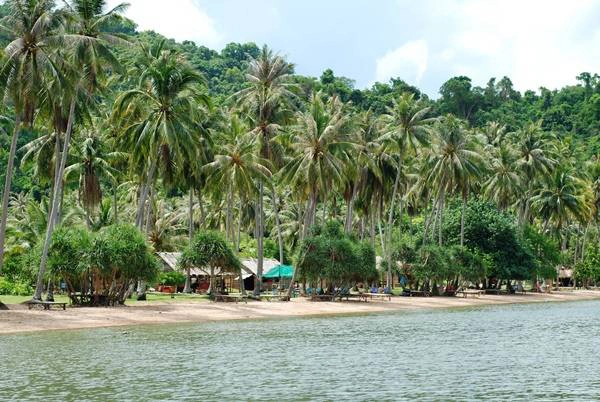 Ảnh: commons.wikimedia Ảnh: commons.wikimedia