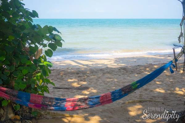Ảnh: alifefullofserendipity Ảnh: alifefullofserendipity