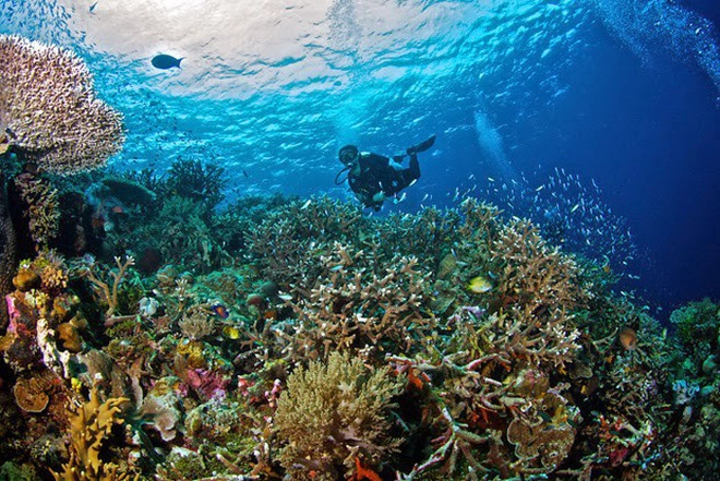 ngoai-thien-duong-bali-indonesia-con-co-nhieu-diem-den-khac-cung-dep-nhu-mo-ivivu-11
