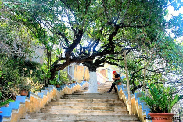 Những rừng cây đại thụ bạt ngàn đã bao phủ ngôi cổ tự bằng sắc màu xanh ngắt, tạo thêm nét huyễn hoặc cho chốn thâm nghiêm. Ngoài khơi xa, đại dương mênh mông cũng một màu trong xanh Những rừng cây đại thụ bạt ngàn đã bao phủ ngôi cổ tự bằng sắc màu xanh ngắt, tạo thêm nét huyễn hoặc cho chốn thâm nghiêm. Ngoài khơi xa, đại dương mênh mông cũng một màu trong xanh