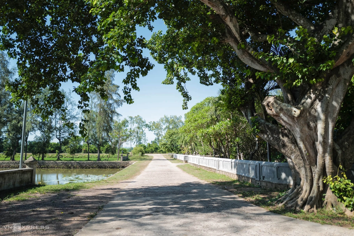   Từ trong chùa nhìn ra, lối vào tỏa bóng mát bởi cây bồ đề cổ thụ. Mùa hè, hồ sen phía trước chùa rực rỡ hoa và tỏa mùi hương thơm ngát.  Trong tất cả chùa chiền ở miền Trung được xây cất từ thời các chúa Nguyễn thì chùa Thập Tháp Di Đà được xem là chùa tổ. Chùa đã được Bộ Văn hóa công nhận là Di tích lịch sử - văn hóa quốc gia.  Đây được coi là ngôi tổ đình danh tiếng vào bậc nhất ở miền Trung.