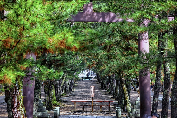 Từ quốc lộ tới đền phải đi bộ 300 m qua ba cổng Torii truyền thống, với hai bên đường trải đá là bốn hàng cây tùng cổ thụ hàng trăm năm tuổi, nhiều cây có đường kính gốc hơn 2m.