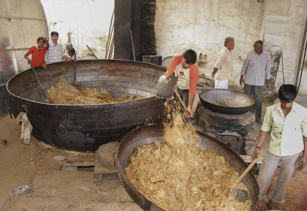 Những người làm công đang chuẩn bị đồ ăn cho chuột.