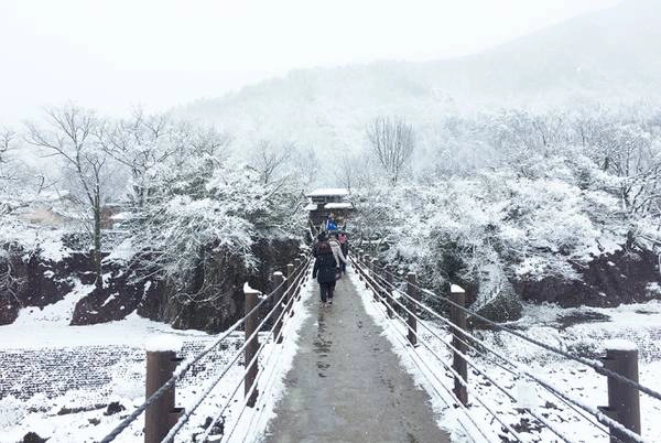 Ở đây, mùa xuân phủ đầy màu xanh, hè với muôn màu của các loài hoa. Mùa thu ở Shirakawago là những mảng màu đỏ, vàng của lá phong.