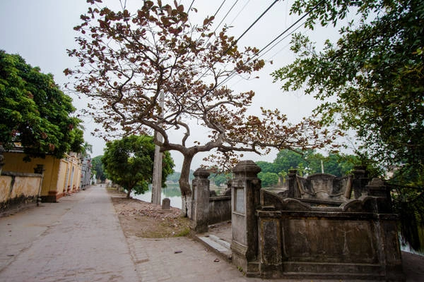 Toàn bộ làng Nôm là một thể thống nhất hoàn chỉnh bao gồm cổng, ao làng, những nhà cổ, chợ và cầu đá. Các trục đường quanh ao làng đều được lát gạch đỏ. Toàn bộ làng Nôm là một thể thống nhất hoàn chỉnh bao gồm cổng, ao làng, những nhà cổ, chợ và cầu đá. Các trục đường quanh ao làng đều được lát gạch đỏ.