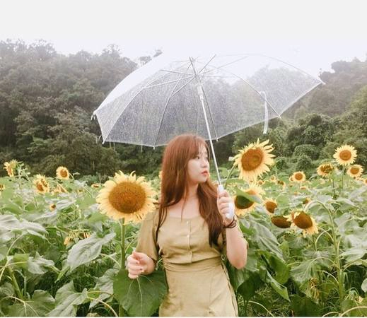 Dù trời mưa, hoa có phần kém sắc nhưng nhờ không khí trong lành ở Yangpyeong, cộng với cảnh quan non nước hữu tình nên nơi này vẫn là điểm đến yêu thích của nhiều người, đặc biệt là nhóm gia đình. Dù trời mưa, hoa có phần kém sắc nhưng nhờ không khí trong lành ở Yangpyeong, cộng với cảnh quan non nước hữu tình nên nơi này vẫn là điểm đến yêu thích của nhiều người, đặc biệt là nhóm gia đình.