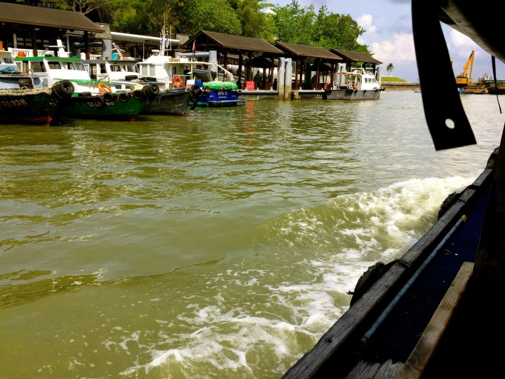 Từ trung tâm, du khách bắt xe buýt số 2, 29, 59 hoặc 109 đến cảng Changi (gần sân bay Changi), rồi từ đây đi thuyền sang đảo Pulau Ubin với giá 2,5 SGD/chiều (khoảng 43.000 đồng). Từ trung tâm, du khách bắt xe buýt số 2, 29, 59 hoặc 109 đến cảng Changi (gần sân bay Changi), rồi từ đây đi thuyền sang đảo Pulau Ubin với giá 2,5 SGD/chiều (khoảng 43.000 đồng).