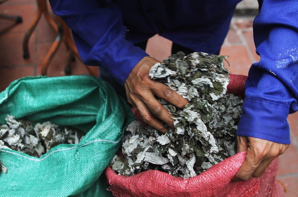 Lá gai nếp tước bỏ phần sống lá, rửa sạch, đun khoảng 30 phút. Lá mềm nhừ được vớt ra, giã thật nhỏ, cho nước vào khuấy đều, lọc lấy nước màu đen. Bột gạo nếp, bột sắn, đường trắng, nhào với nước lá gai dẻo quánh lại tạo thành vỏ bánh.