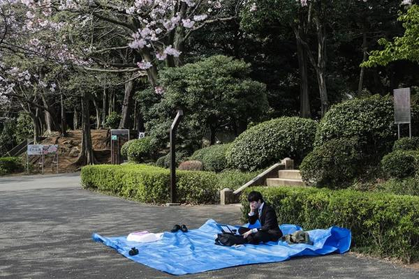 Một người giữ chỗ cho bạn bè dưới tán cây. Ảnh: Taro Karibe/Getty Images. Một người giữ chỗ cho bạn bè dưới tán cây. Ảnh: Taro Karibe/Getty Images.