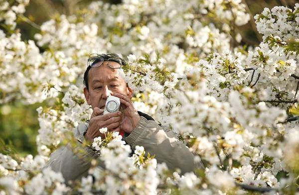 Hoa nở rực rỡ ở vườn Đông trong cung điện hoàng gia. Ảnh: Thomas Peter/Reuters. Hoa nở rực rỡ ở vườn Đông trong cung điện hoàng gia. Ảnh: Thomas Peter/Reuters.