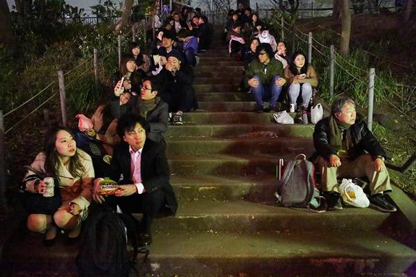 Mọi người vui vẻ ăn uống và ngắm hoa ở công viên Ueno. Ảnh: Taro Karibe/Getty Images. Mọi người vui vẻ ăn uống và ngắm hoa ở công viên Ueno. Ảnh: Taro Karibe/Getty Images.
